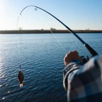 pesca sportiva 