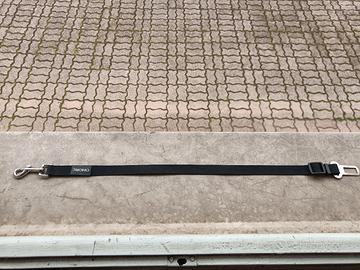 cintura sicurezza per cani