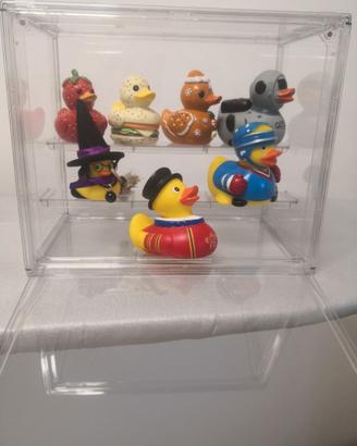 Collezione paperelle