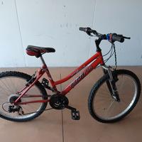 bicicletta