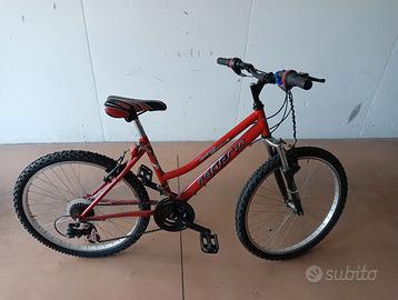 bicicletta