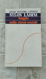 Saggio sulle classi sociali