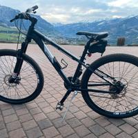 Bicicletta Mountain bike