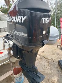Mercury optimax 115