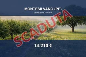 Immobile in asta di 1600 m² a Montesilvano