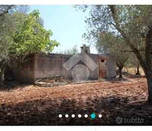 Vendita di terreno con uliveto