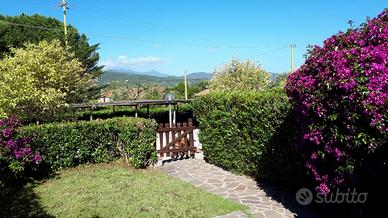 Isola d'elba 250mtmare villetta piscina scontonave