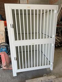 Kennel per cani