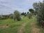Immagine 18