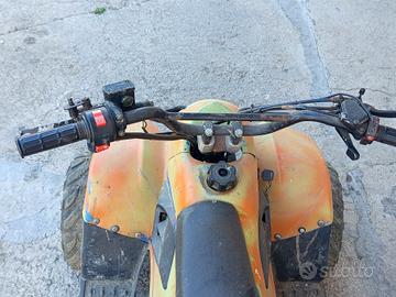 quad 110