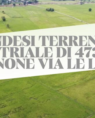 TERRENO INDUSTRIALE 4610 MQ VIA LE LAME