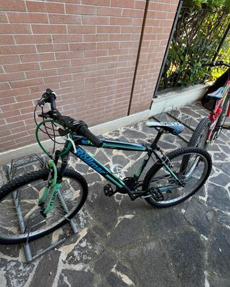 Bicicletta da ragazzo