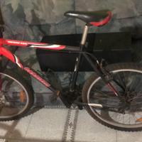 bicicletta mountain bike carnielli mtb mq900adx