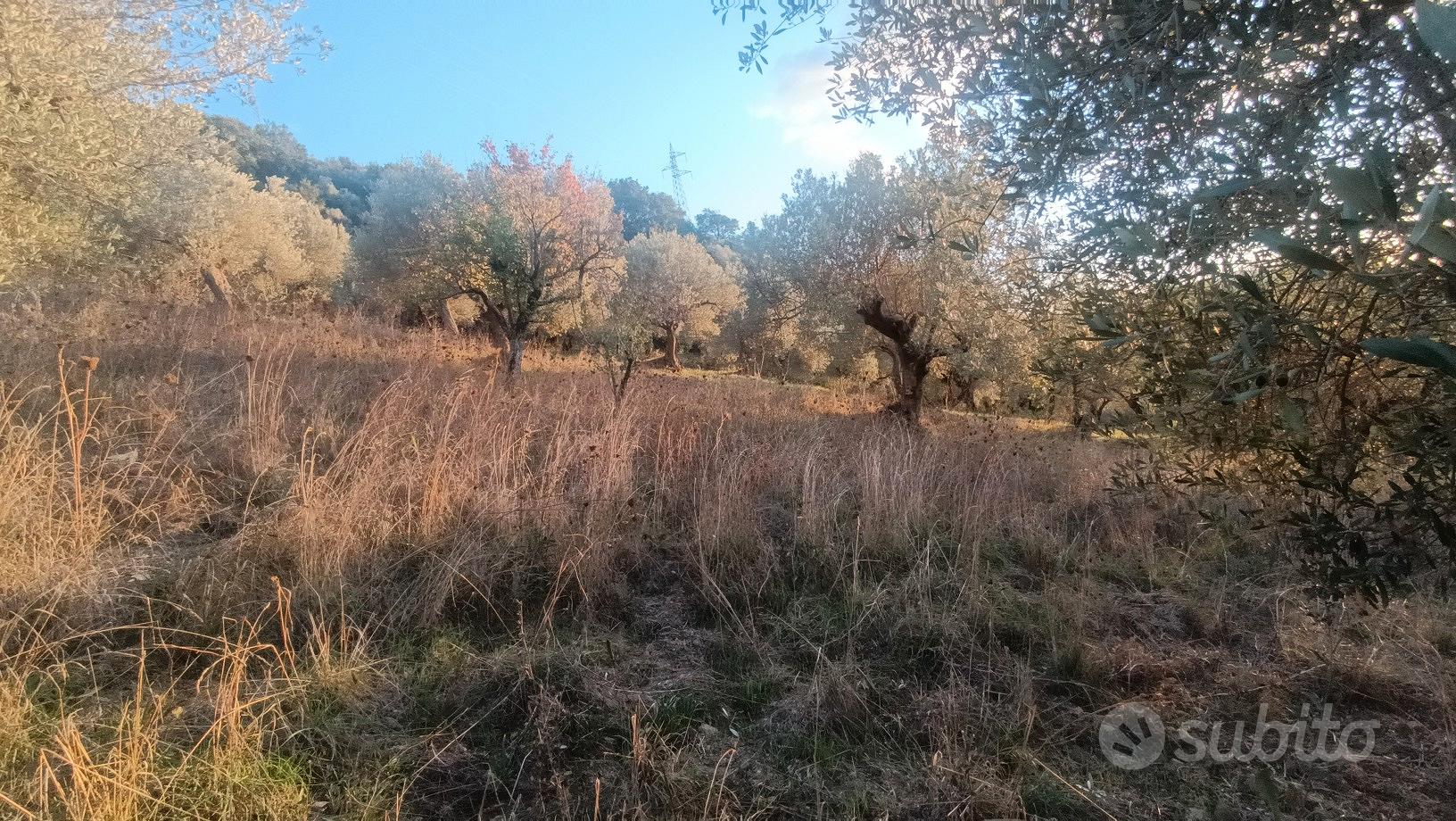 Terreno agricolo - Vista 2