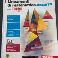 Lineamenti di matematica.azzurro vol. 1