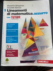 Lineamenti di matematica.azzurro vol. 1