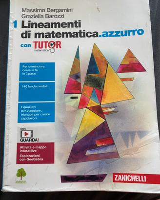 Lineamenti di matematica.azzurro vol. 1