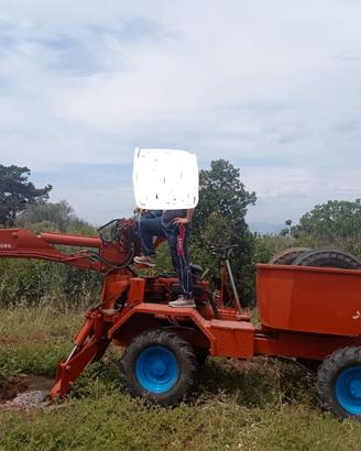 Dumper con vasca ed escavatore 