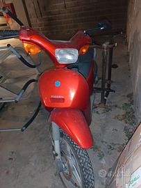 piaggio free 50