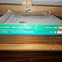 Libri di arte  zanichelli