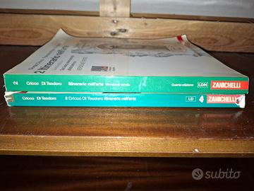 Libri di arte  zanichelli