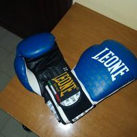 Guantoni da boxe Leone modello Extreme II 