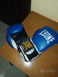 Guantoni da boxe Leone modello Extreme II 