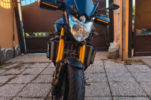 fz8  2010 