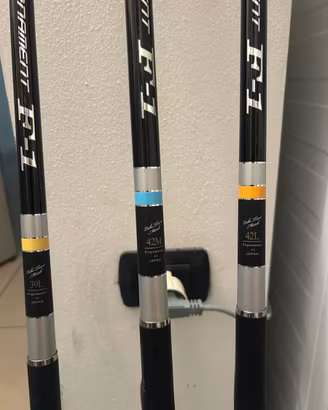 Canne da pesca Daiwa