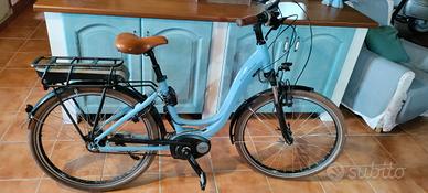 City Bike Riese&Müller Swing