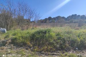 Terreno zona Brucoli