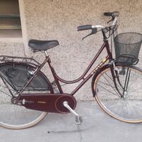 donna 26 VICINI con cestino pronta all'uso 