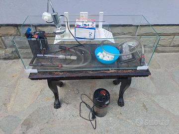 Acquario per pesci o tartarughe