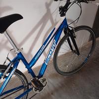 bicicletta scott 