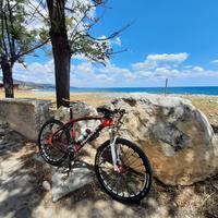 Wilier tutta XT