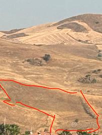 Terreno agricolo