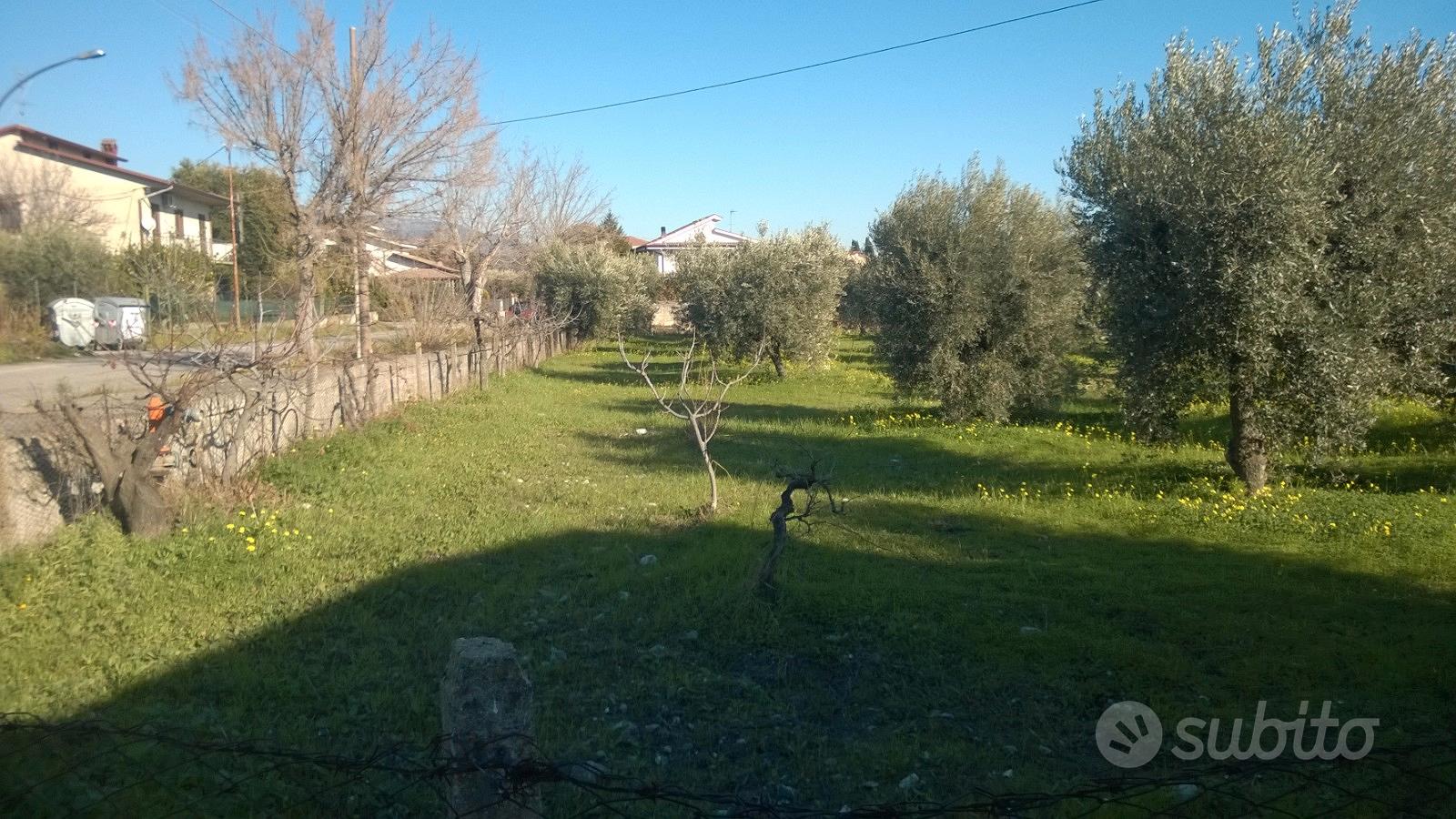 Terreno edificabile con fabbricati rurali - Vista 5
