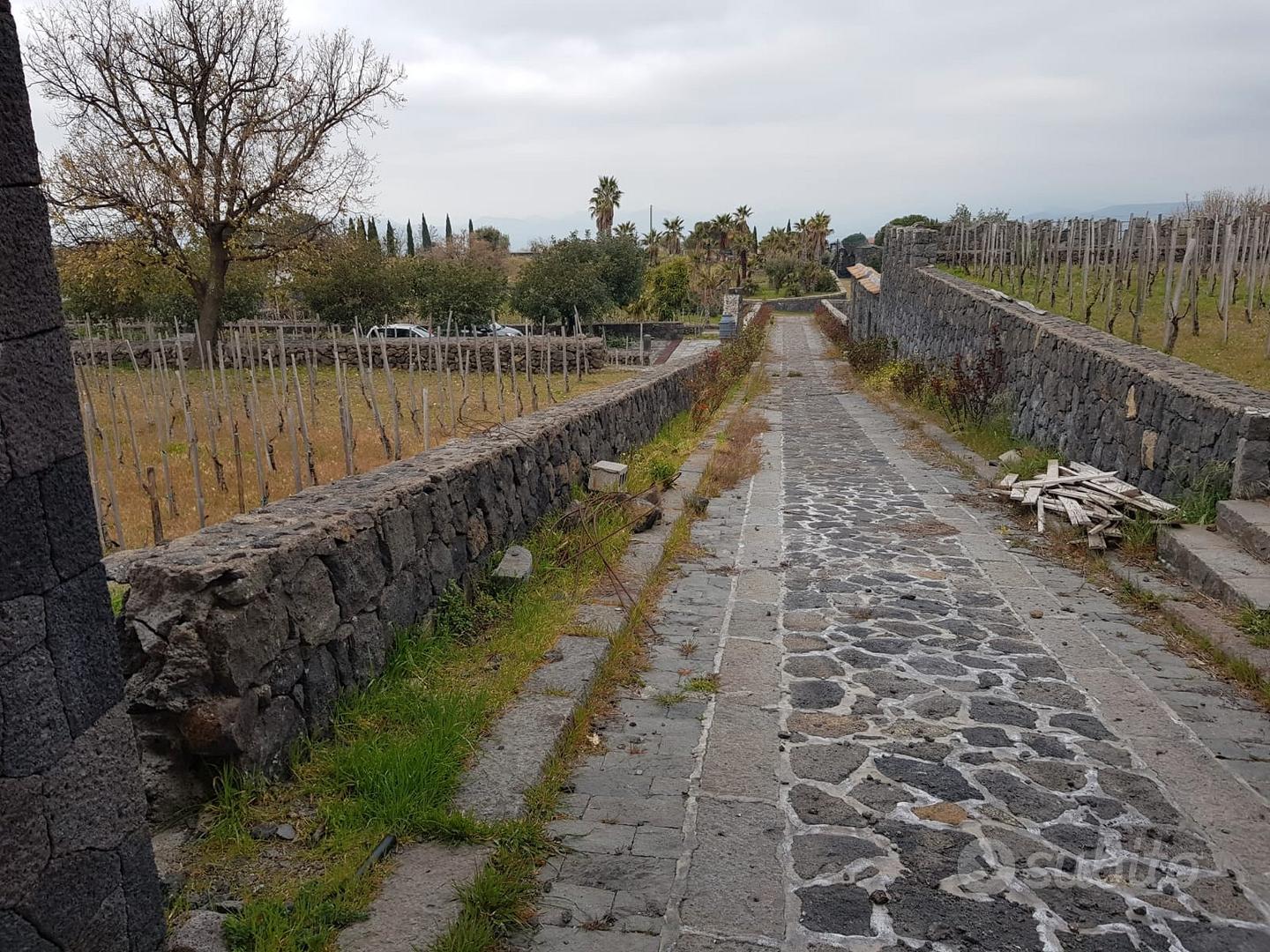 Tenuta di 4 ettari ( di cui 2 vigneto) - Vista 5