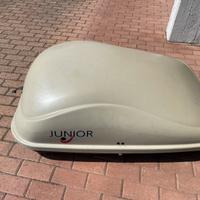 Baule sopra auto