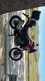 africa twin