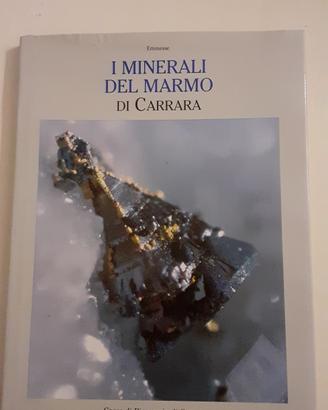 I minerali del marmo di Carrara