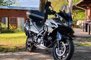 suzuki v strom dl 650 2005