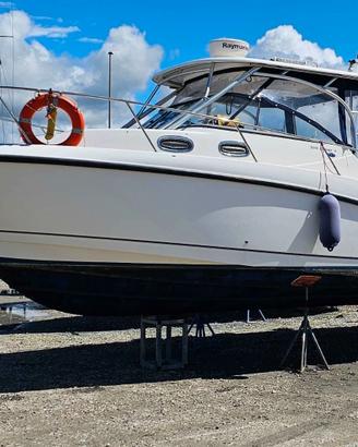 BOSTON Whaler 305 CONQUEST + 2x250hp MERCURY 2008