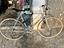 Immagine 1