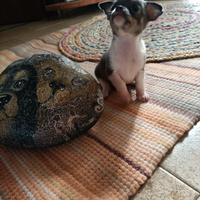 Due meravigliosi anime belle