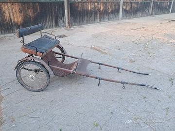 calesse per pony