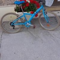 bicicletta