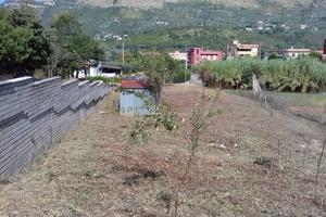 Terreno agricolo in Via San Martino, Priverno