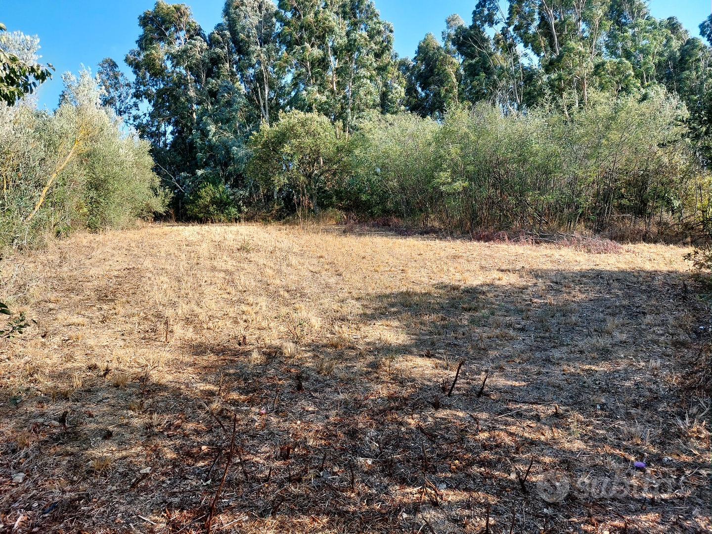 Terreno agricolo in buona posizione - Vista 4