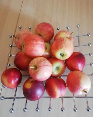portafrutta
